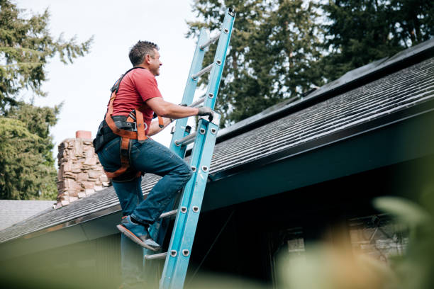 Best Skylight Installation and Repair  in Oconto Falls, WI